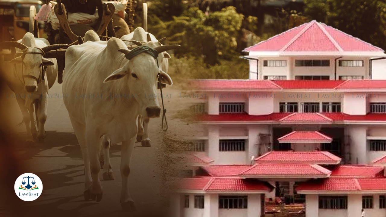 Tripura High Court issues notice to Centre, Tripura Govt and others in plea seeking urgent relief against illegal cattle markets